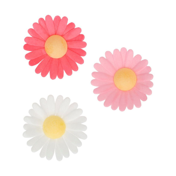 FunCakes Essbare Papierblumen Gänseblümchen pk/13