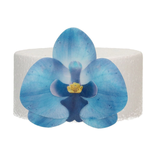 FunCakes Essbare Papierblumen Deluxe Orchidee Blau Mittel pk/10