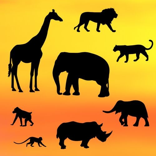 Safari Silhouette Set 8-teilig