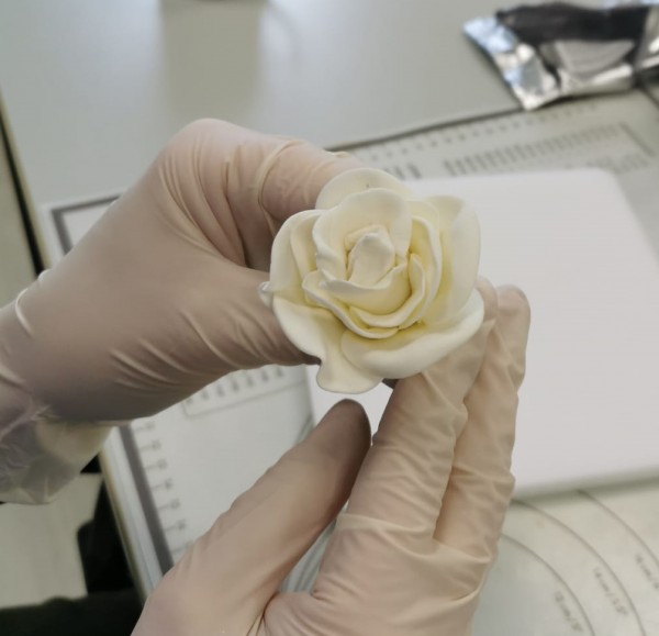 Blumen-Modellier-Workshop am Samstag, 20.1.24 in Frankfurt