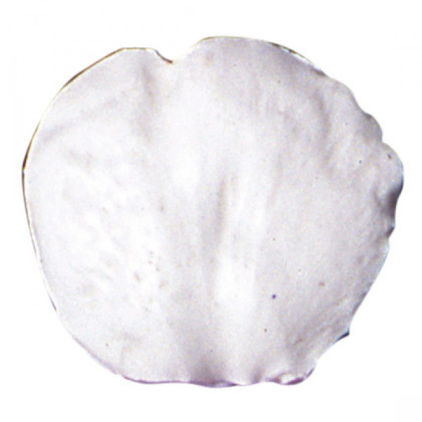 Petal Veiner Rose Tea rund 6cm