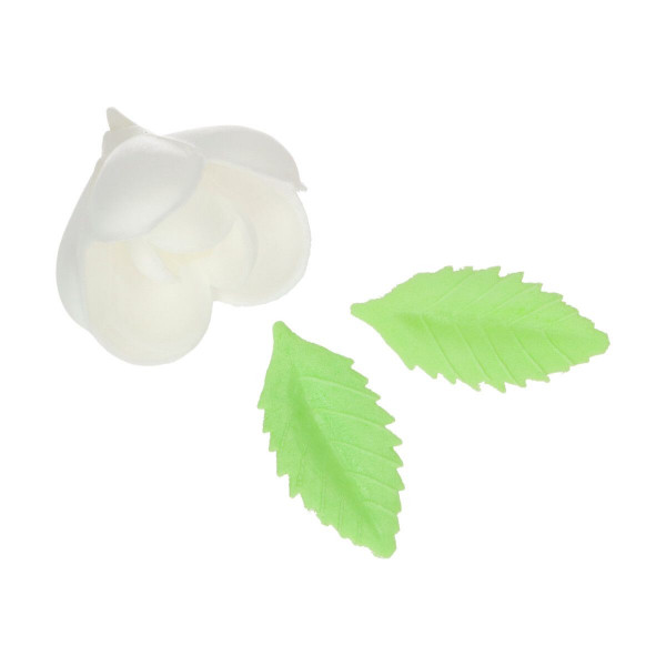 FunCakes Essbare Papierblumen Tulpe &amp; Blätter pk/12