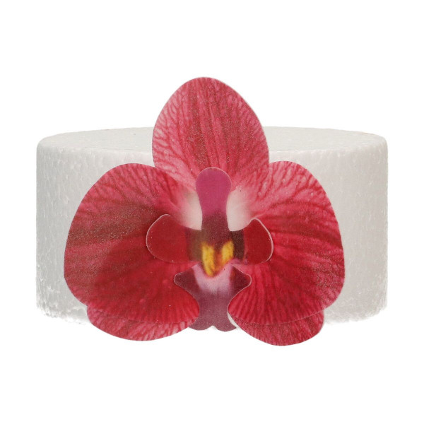 FunCakes Essbare Papierblumen Deluxe Orchidee Rot Mittel pk/10